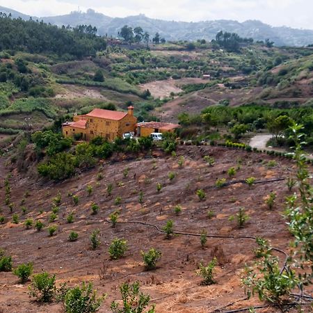 Las Casas De Lola Y Rafael Moya  Eksteriør bilde